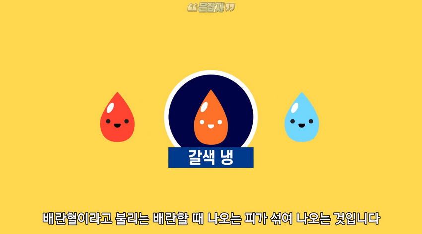 남자들은 잘 모르는 '냉'에 대하여