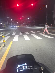 신호 대기 중 배달 중, 길 건너는 고양이 발견