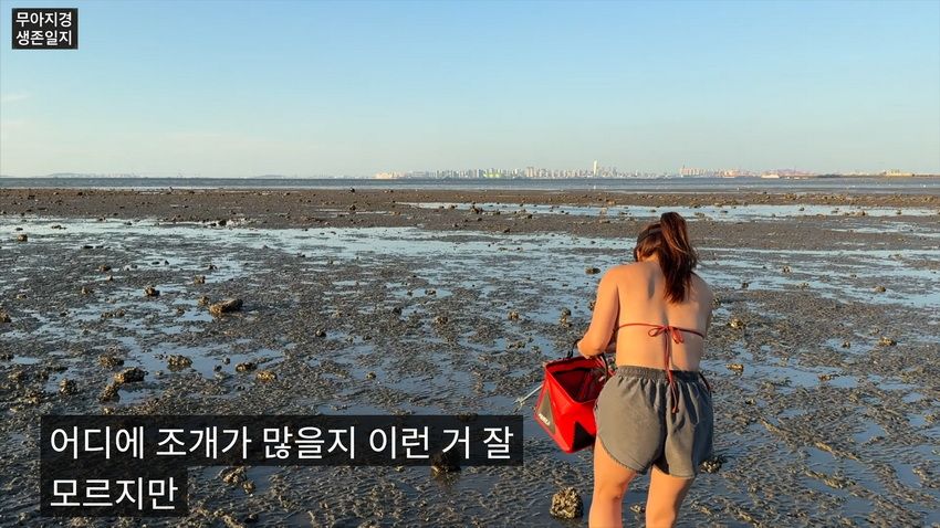 약후] 갯벌에서 식자재 해결하는 여자.jpg