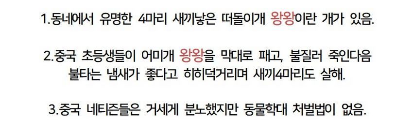 동네 인기견 가족, 초등학생들에 의해 끔찍하게 희생