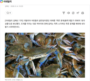 "먹어서 없애자" 이탈리아 골칫덩이 '푸른 꽃게' 年316억.news