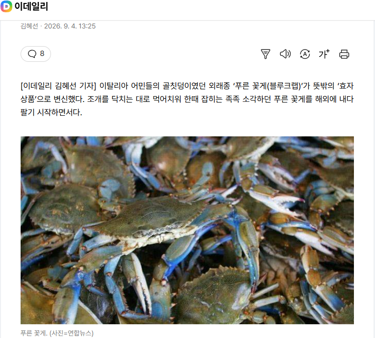 "먹어서 없애자" 이탈리아 골칫덩이 '푸른 꽃게' 年316억.news