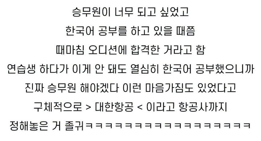 레이, 대한항공 승무원 꿈꾸다.jpg