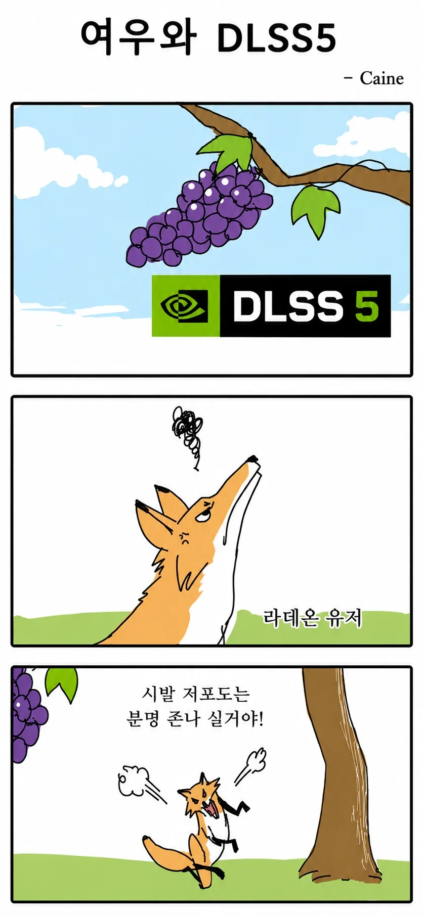 DLSS 5와 라데온 사용자
