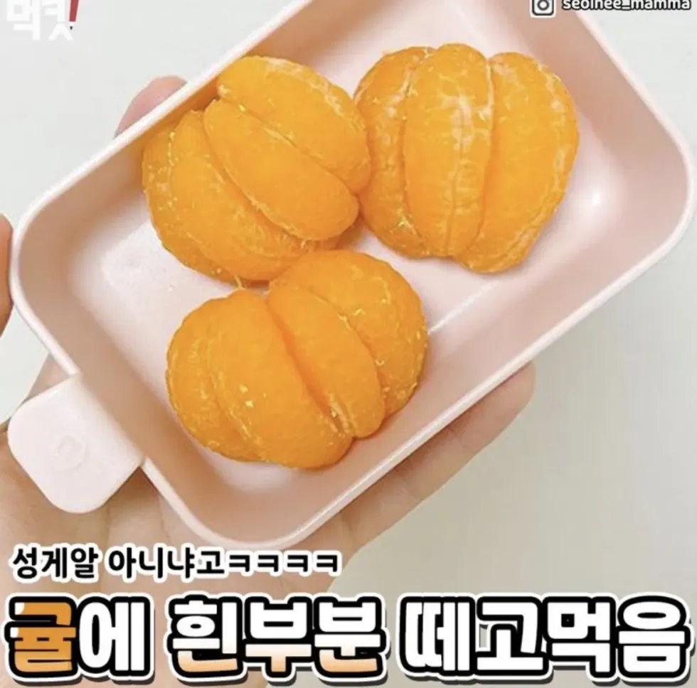 편식 심한 사람들의 특징