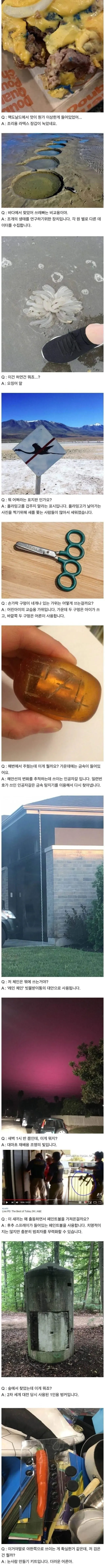 서양의 흥미로운 지식 문답.jpg