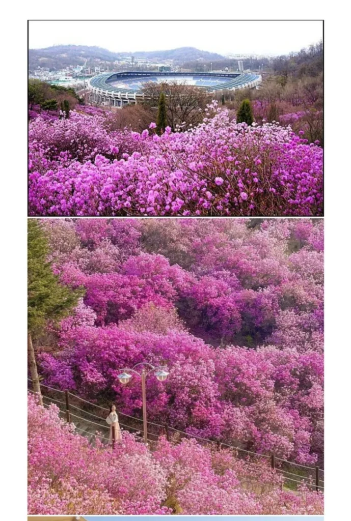 공무원의 광기가 느껴지는 산