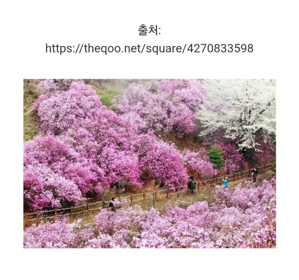 공무원의 광기가 느껴지는 산