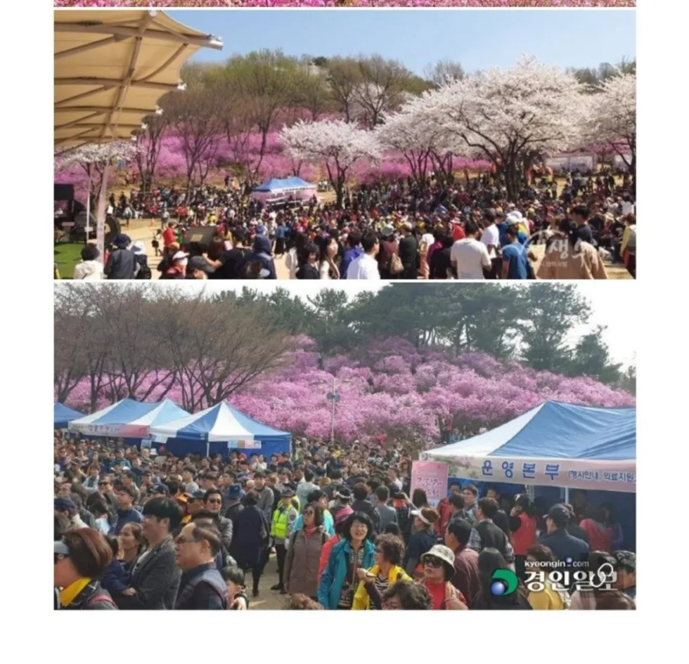 공무원의 광기가 느껴지는 산