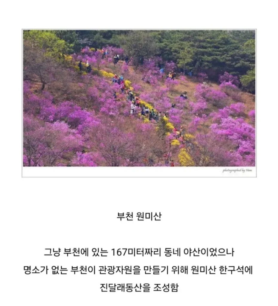 공무원의 광기가 느껴지는 산