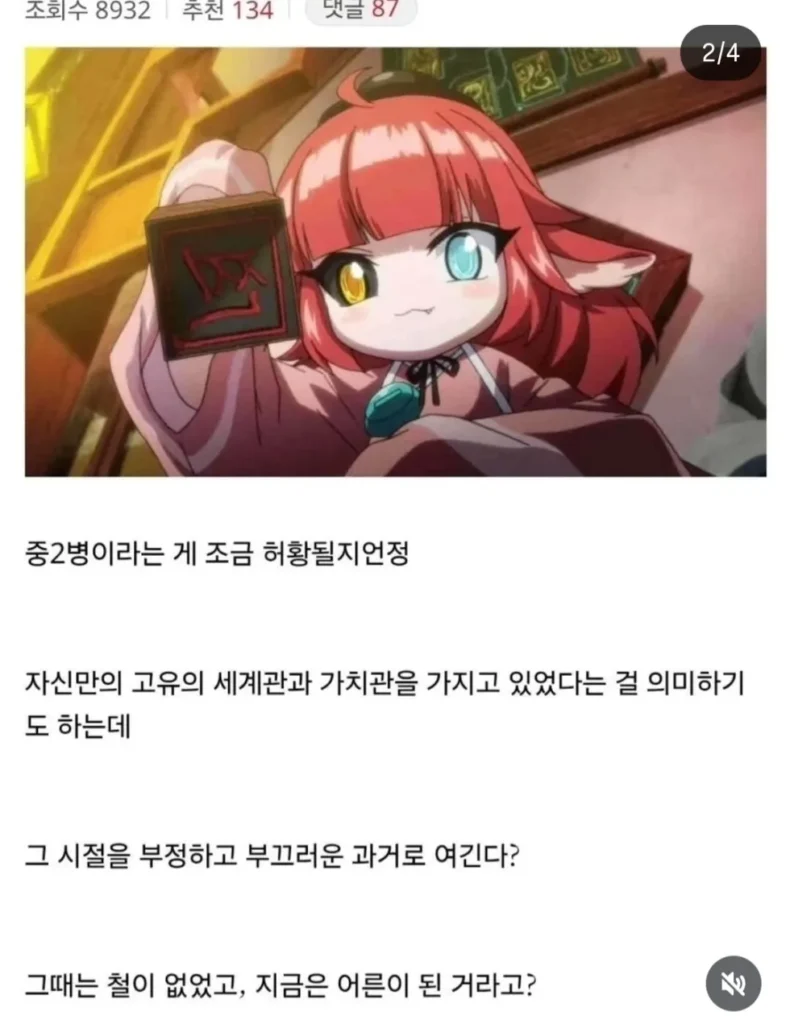 중2병, 낫는다는 것이 씁쓸한 일 아닐까? (디시)