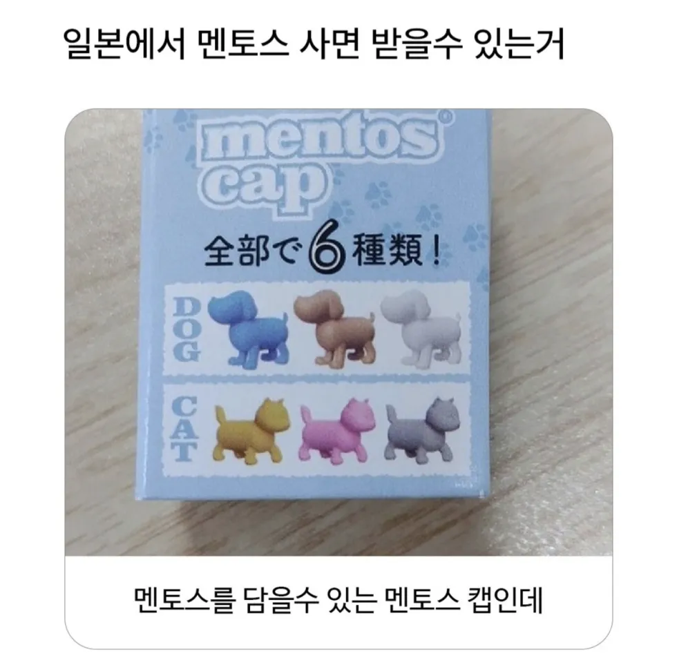 일본에서 멘토스 구매 시 증정품.jpg
