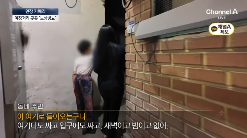 요즘 서울 종로 야장 근황