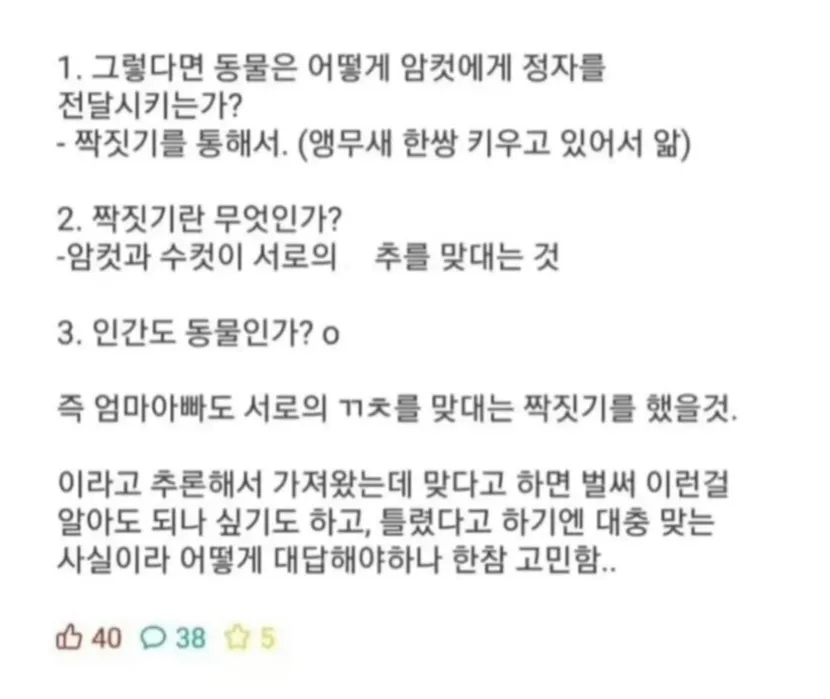 6살 조카, ㅅㅅ를 스스로 알아내다.jpg