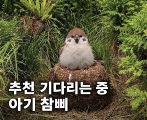 남자동기가 공주님과 통화하는 걸 몇 번 들었어.jpg