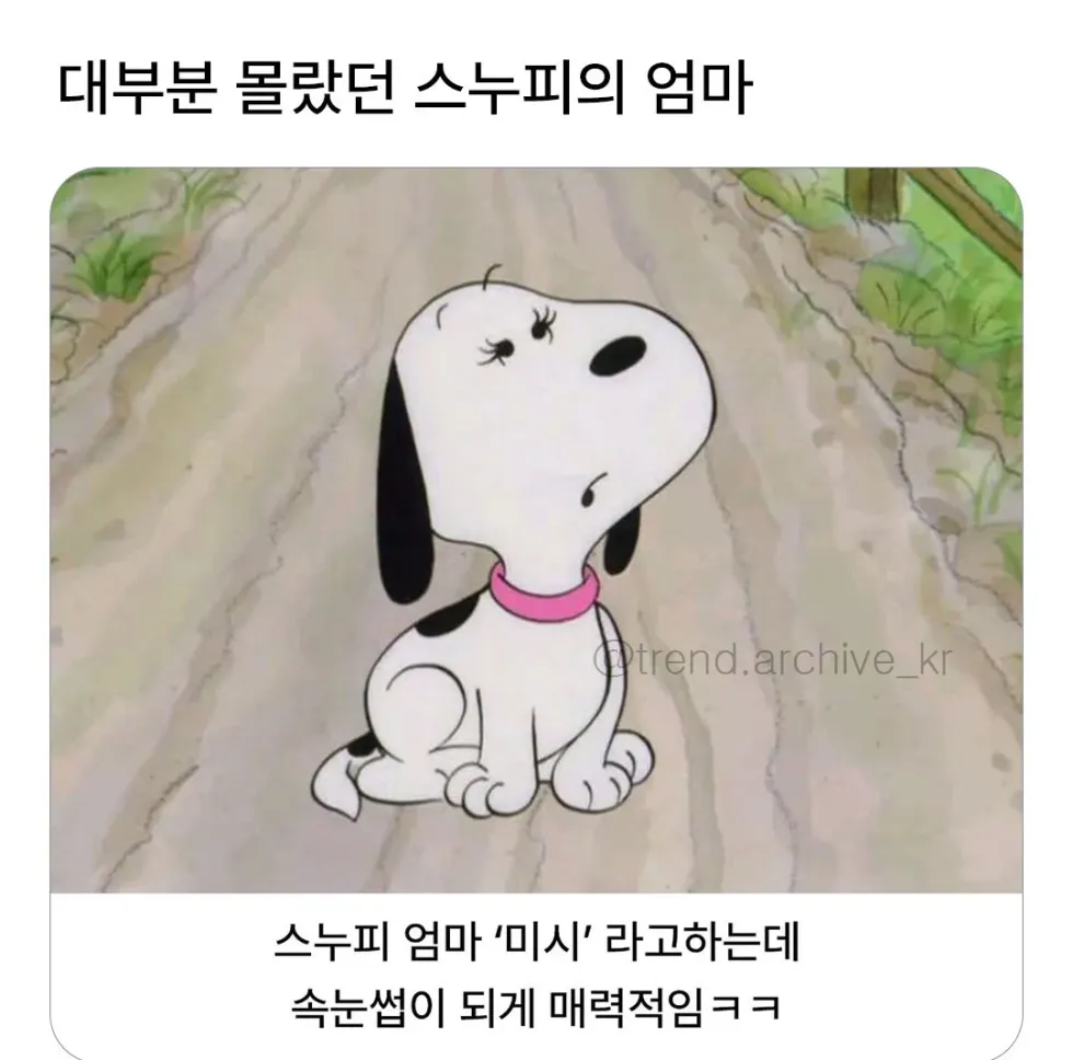 스누피의 어머니.jpg