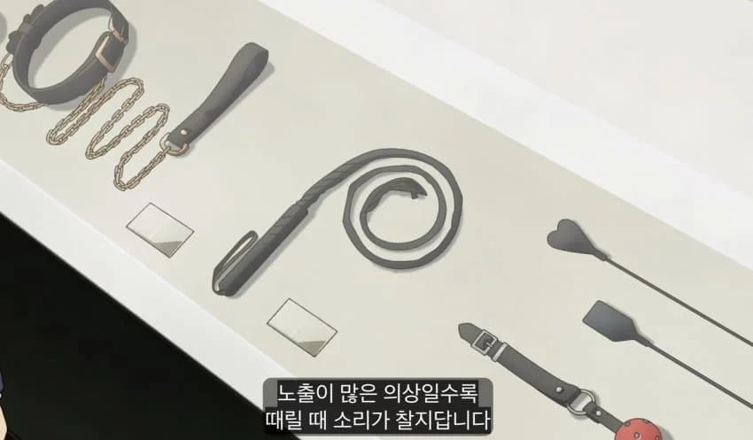 야니네코 세계관: 수인의 과거와 현재