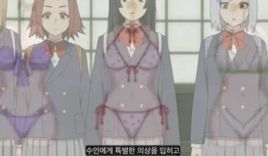 야니네코 세계관: 수인의 과거와 현재