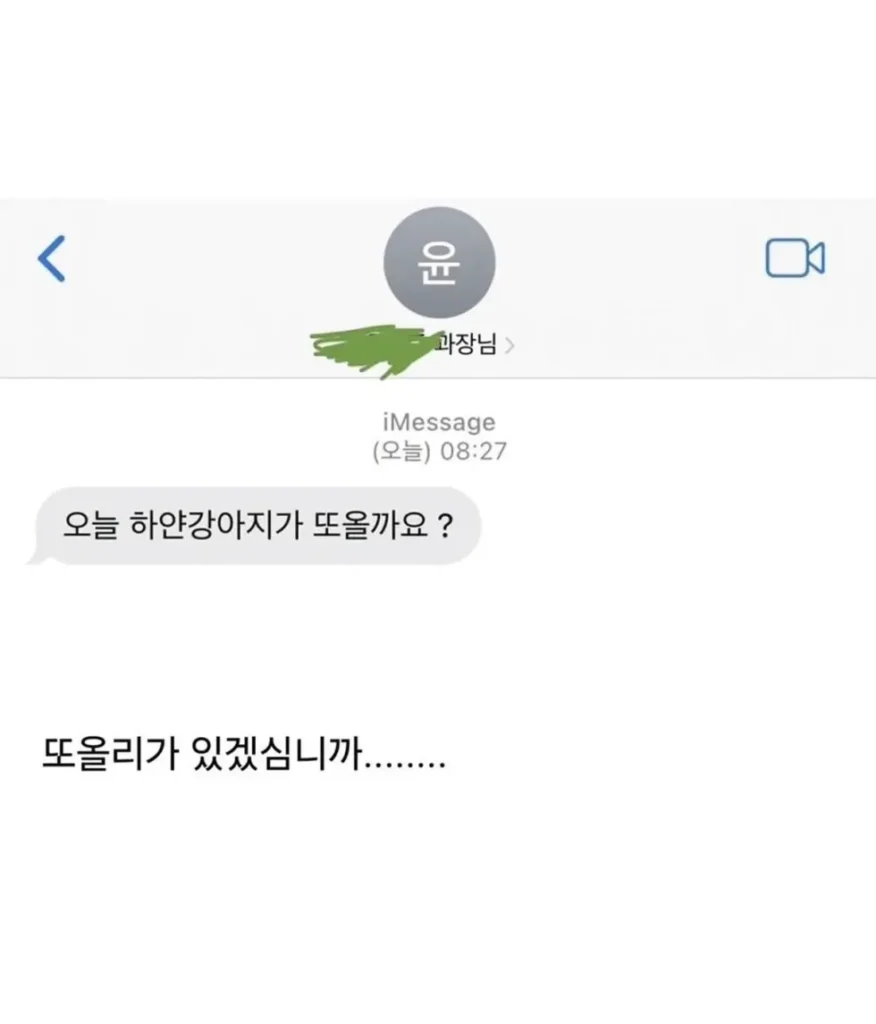 피치못할 사정으로 강쥐 데리고 출근했는데...jpg