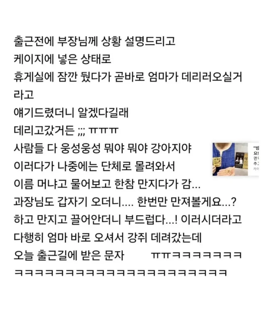 피치못할 사정으로 강쥐 데리고 출근했는데...jpg