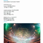 바운디 내한 공연, 일본 팬들의 뜨거운 반응과 문화 비교