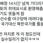 일본의 음습함, 한국팀의 선전