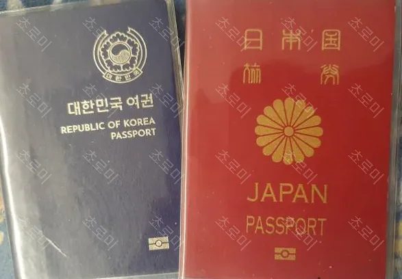 한일 커플, 결혼 생활의 장점과 단점