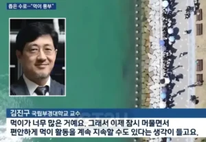 부산 상어가 수로에 머무는 이유