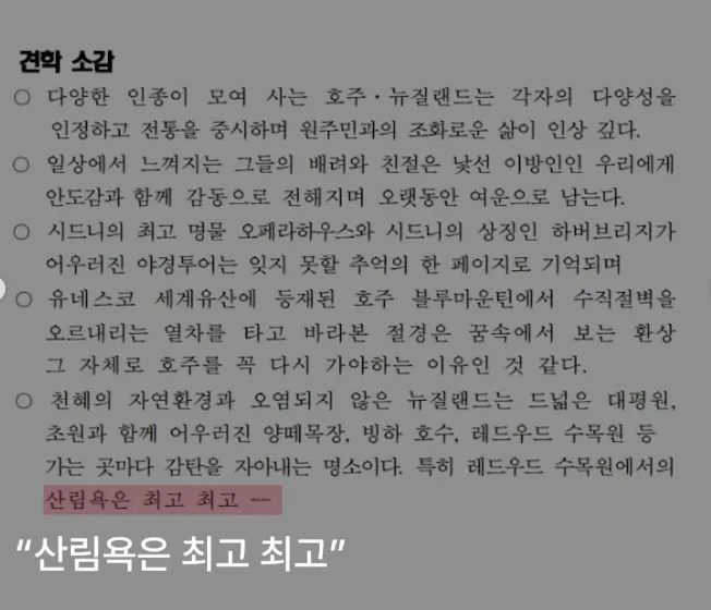 해외출장 공무원 보고서, 수준 문제 제기