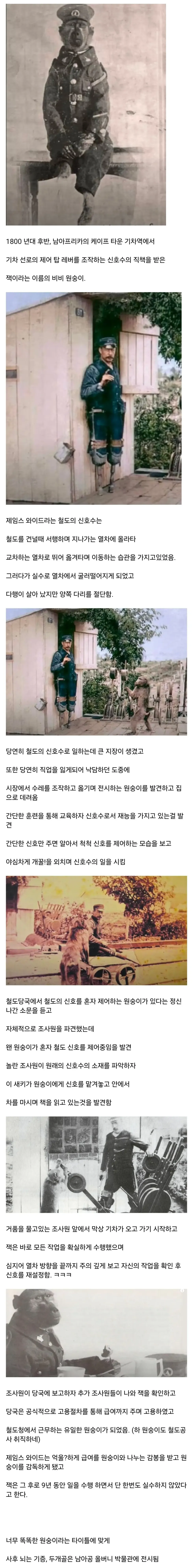너무 똑똑해서 취업한 원숭이.jpg