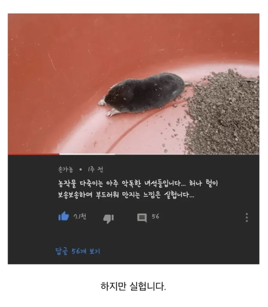 농작물을 망치는 지독한 해충들.jpg