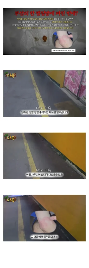 부산 찜질방 빈대 출현 소식 (약혐주의).jpg