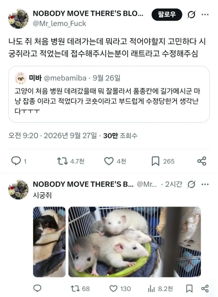 동물병원에선 전문용어를 사용해야됨.jpg
