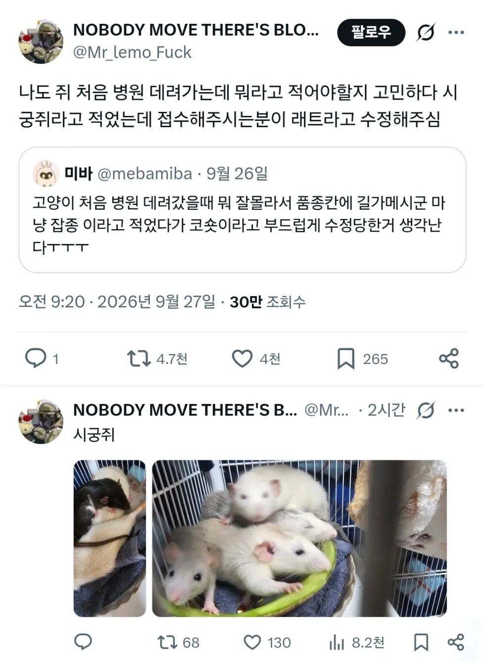 동물병원에선 전문용어를 사용해야됨.jpg