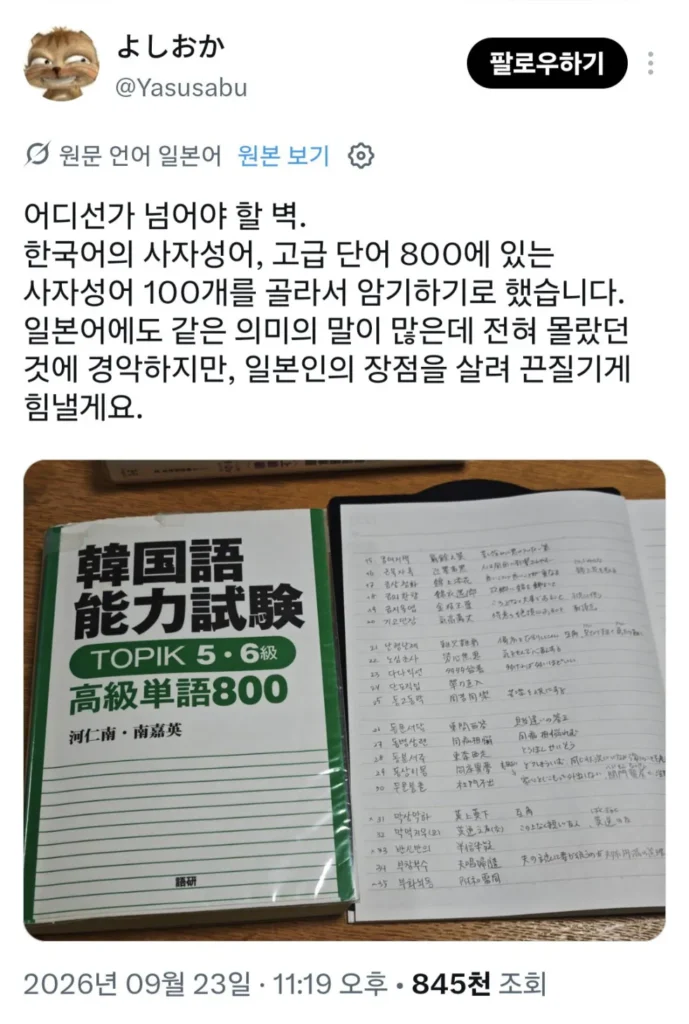 일본인, 한국어 학습 위해 사자성어 100개 암기 시작