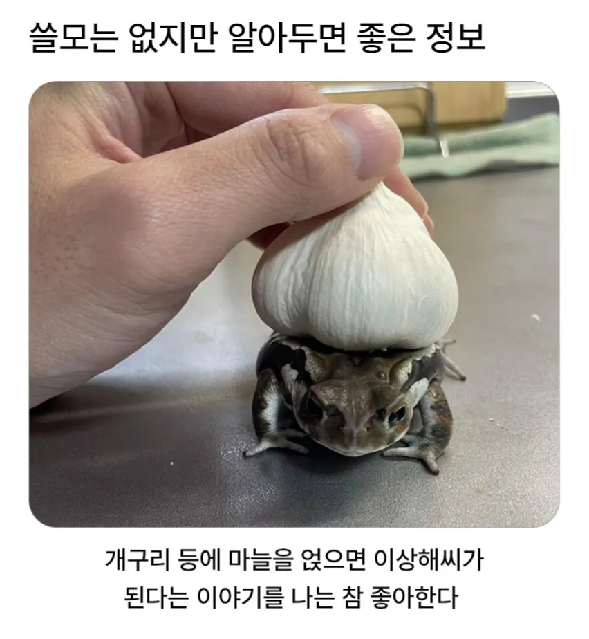 쓸모는없지만 알아두면 좋은정보.jpg