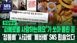 OO삐 (삐에로 남친 · 삐바삐 · 삐출)