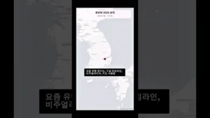 구글 타임라인 비주얼라이저 (1년 동선 지도 인증)