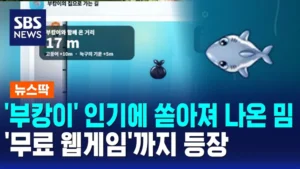 부캉이 (부산 북항 상어)