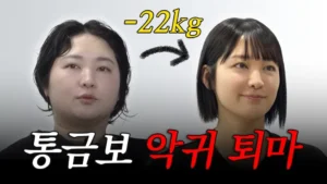 이것은 내가 OO가 되기까지의 이야기다 (히로아카 독백 밈)