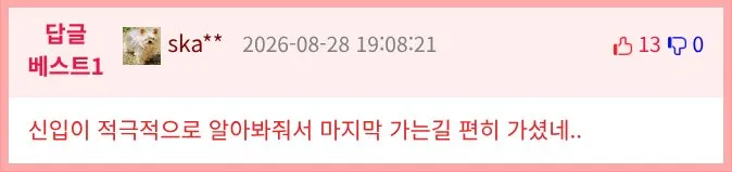 15살 된 우리 강아지가 걱정돼요 - 입원 환자의 사연