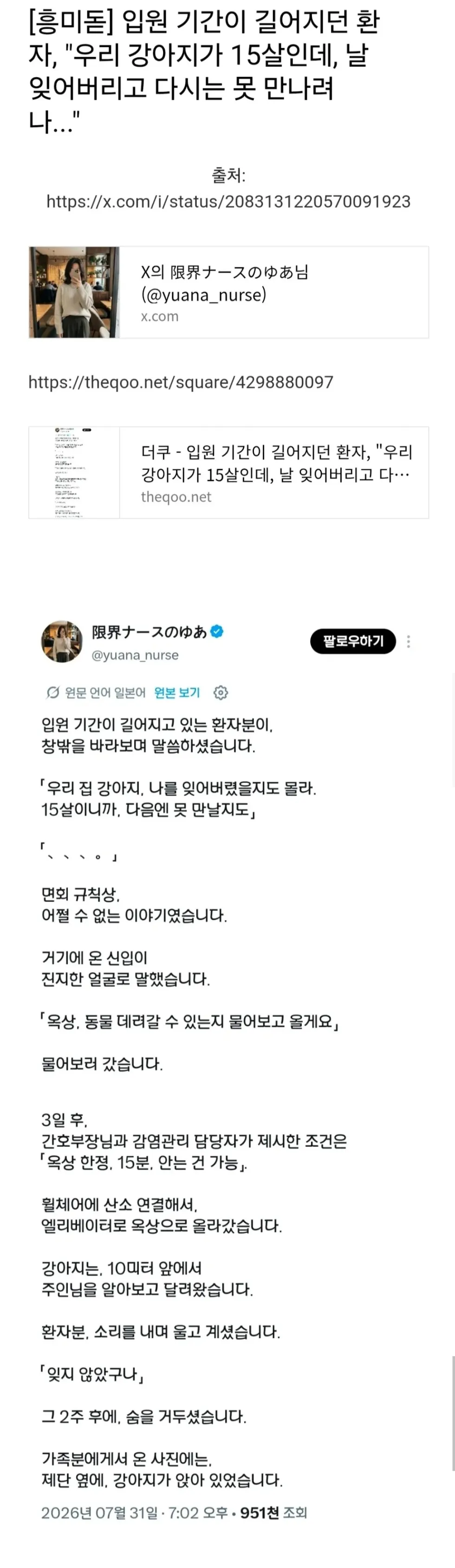 15살 된 우리 강아지가 걱정돼요 - 입원 환자의 사연