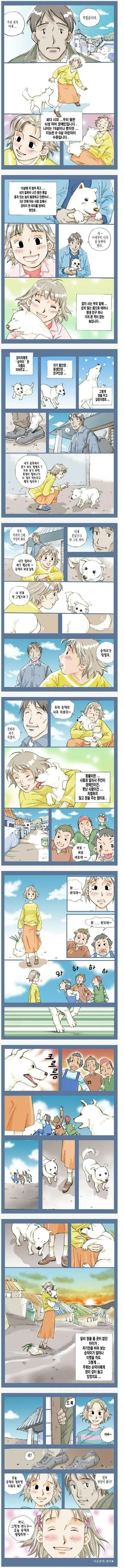 순덕이를 추모하며