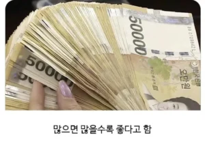 자취 생활 필수품: 삶의 질을 높여주는 아이템