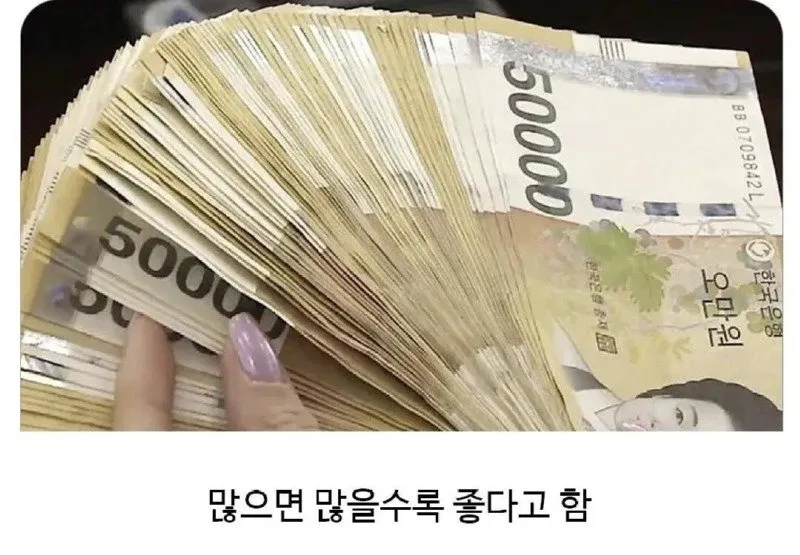 자취 생활 필수품: 삶의 질을 높여주는 아이템