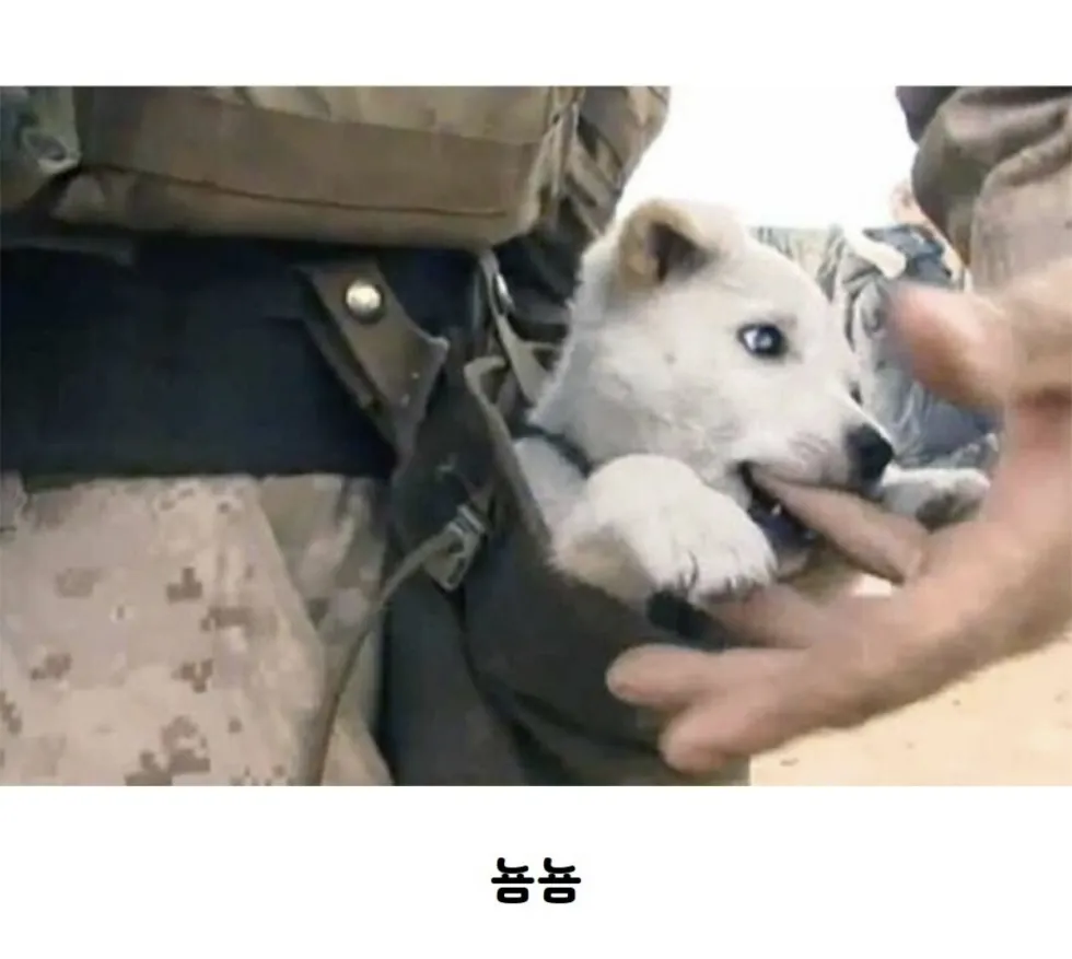 미군이 허리에 탄창주머니를 다는 이유