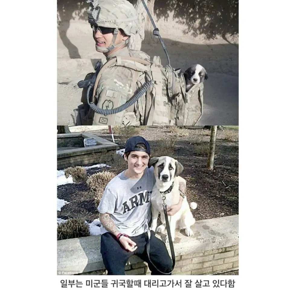 미군이 허리에 탄창주머니를 다는 이유