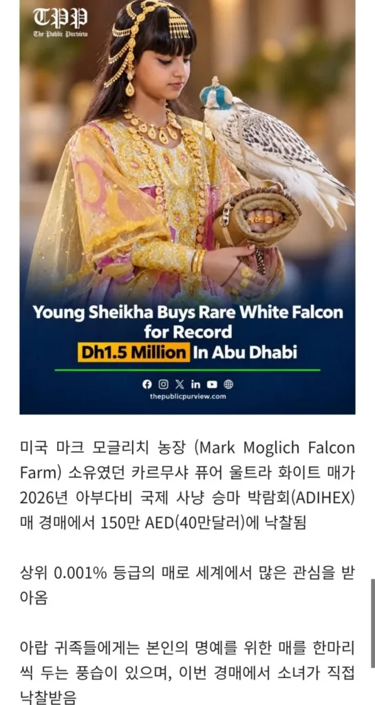 5억 6천만원에 낙찰된 아부다비 소녀의 매