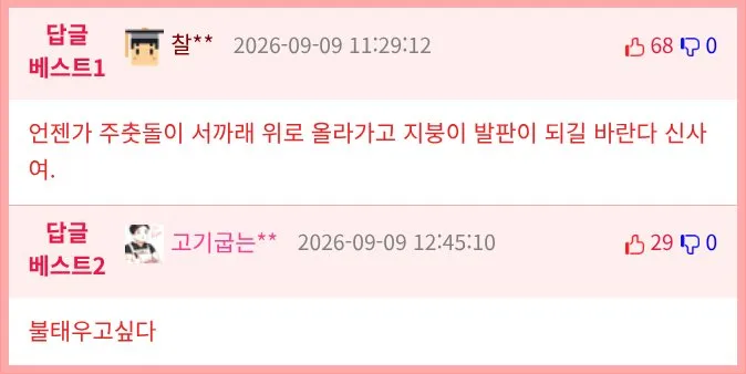 독일인이 본 야스쿠니 신사, 문제점은