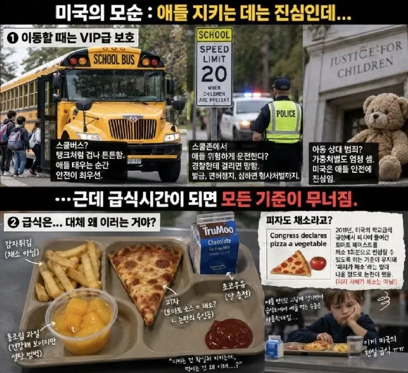 미국 아동 보호의 역설